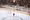 Patinoire