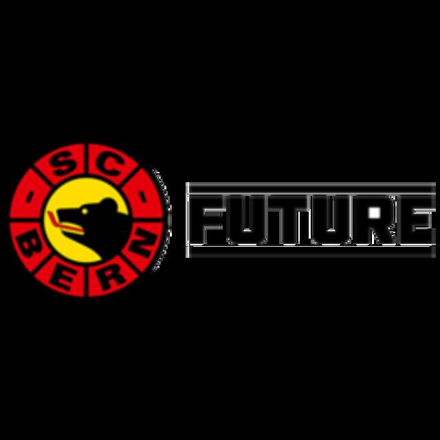 Logo bern selection