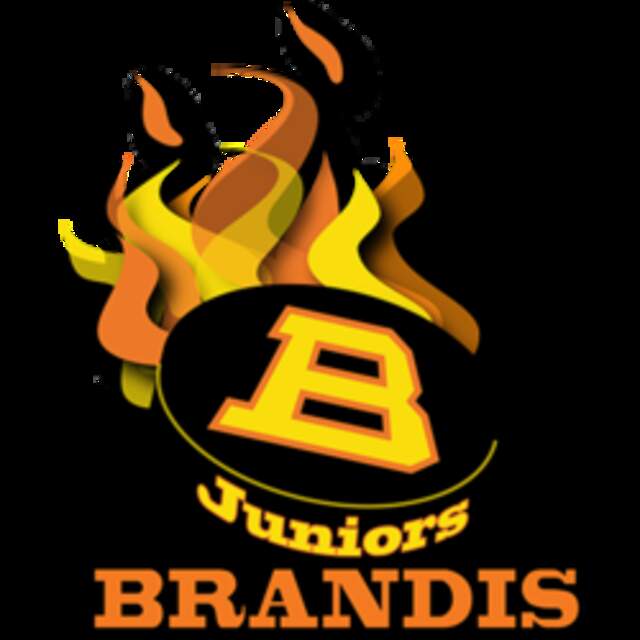 Logo Brandis