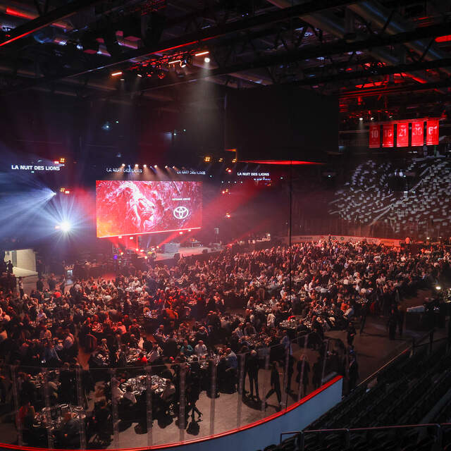 Nuit des Lions
