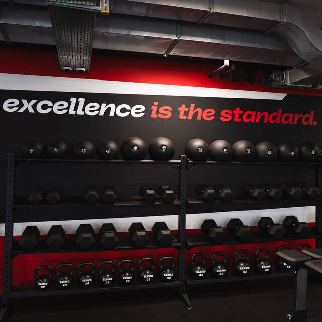 LHC Performance Hub