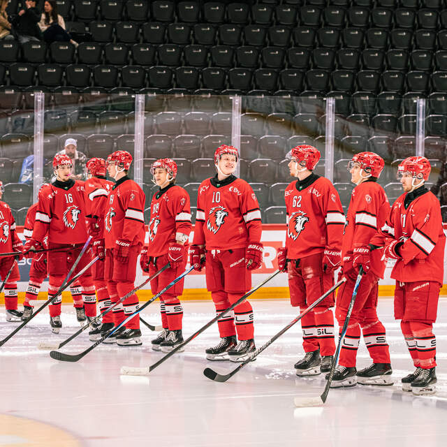 My Ice Hockey App