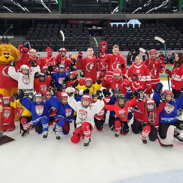 hockey fun