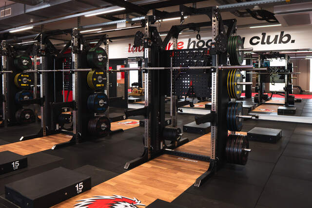 LHC Performance Hub