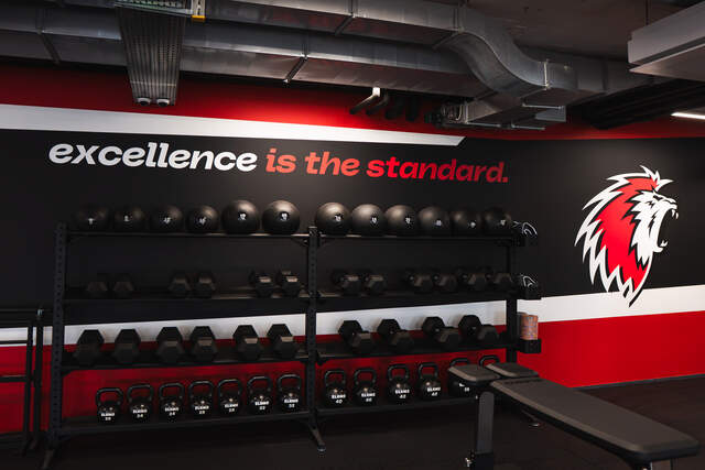LHC Performance Hub