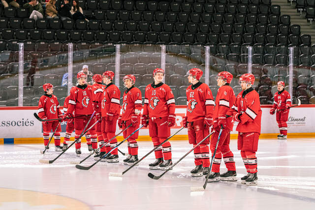 My Ice Hockey App