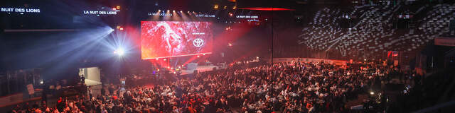 Nuit des Lions