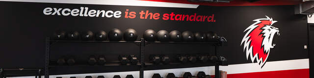 LHC Performance Hub