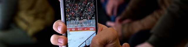 Visibilité digitale