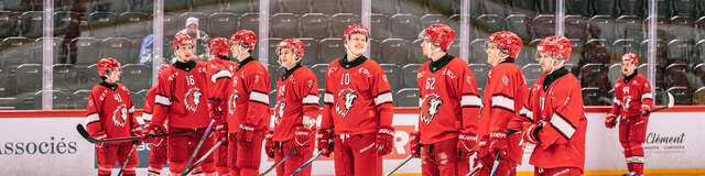 My Ice Hockey App