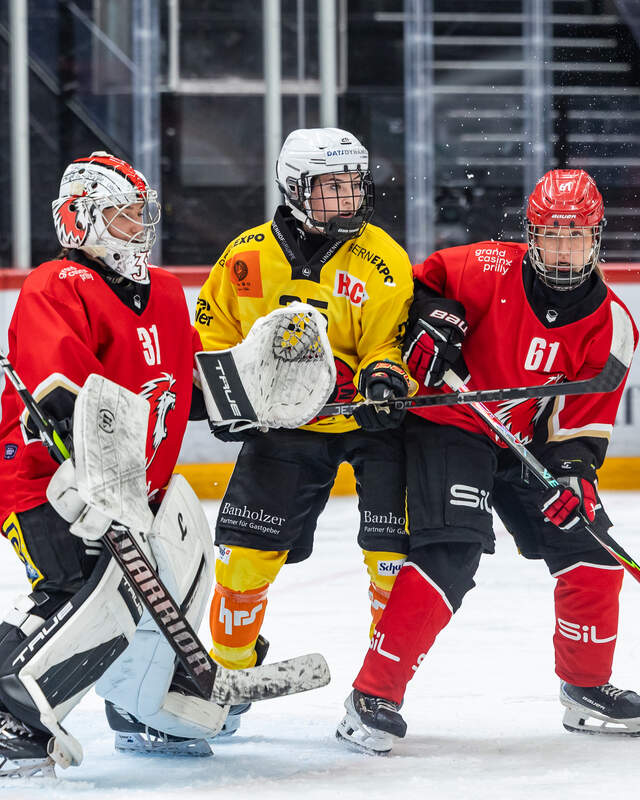 lhc berne