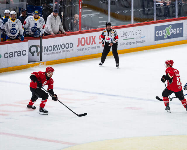 Panneaux Rink