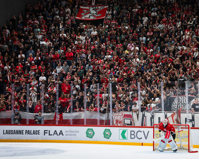 Panneau Rink Goal et Hybride