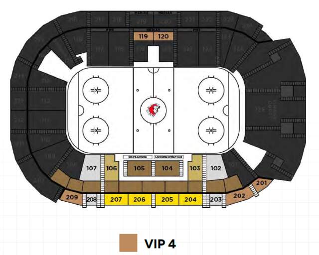 VIP 4
