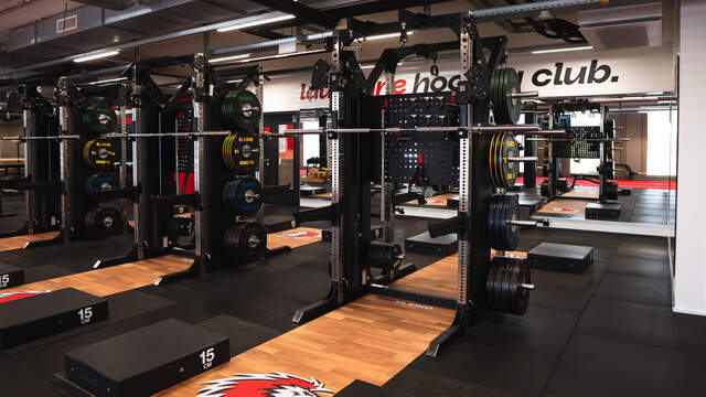 LHC Performance Hub