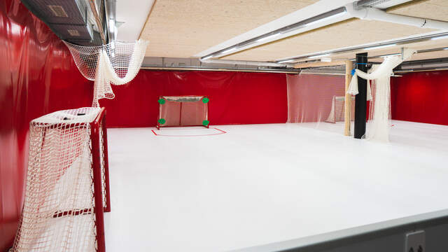 LHC Performance Hub