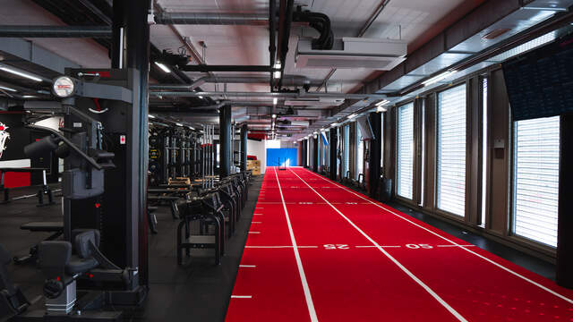 LHC Performance Hub